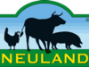 Logo NEULAND